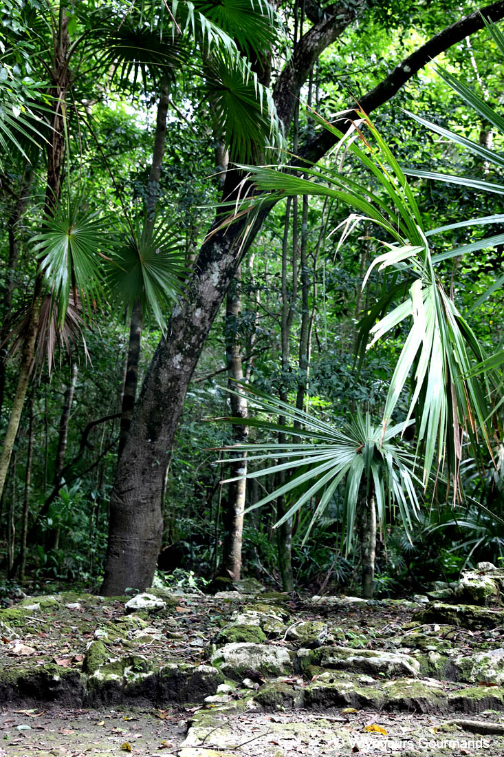 reserve de sian kaan