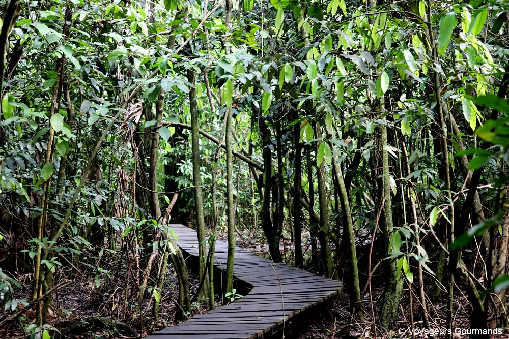 reserve de sian kaan