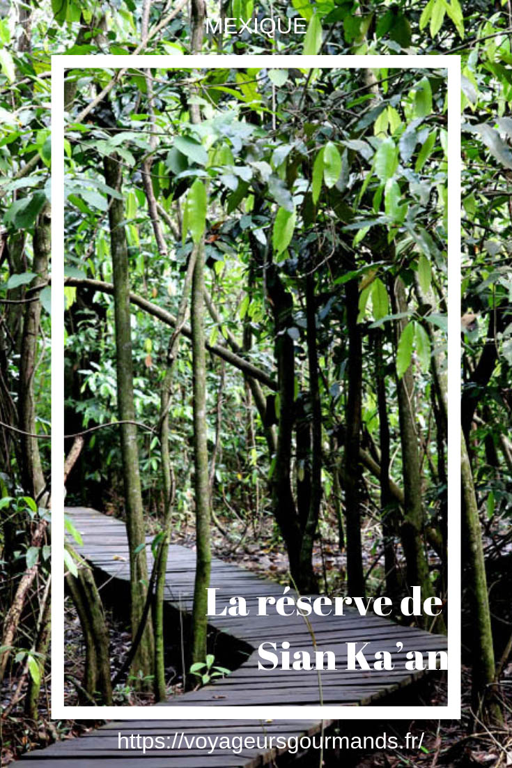 reserve de sian kaan
