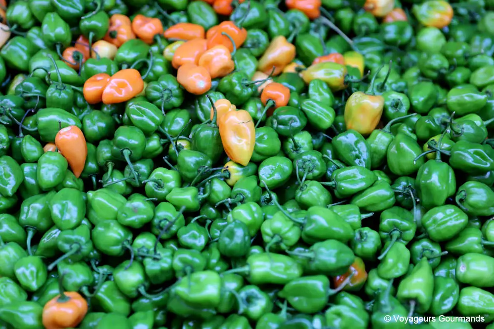 cuisine mexicaine 7