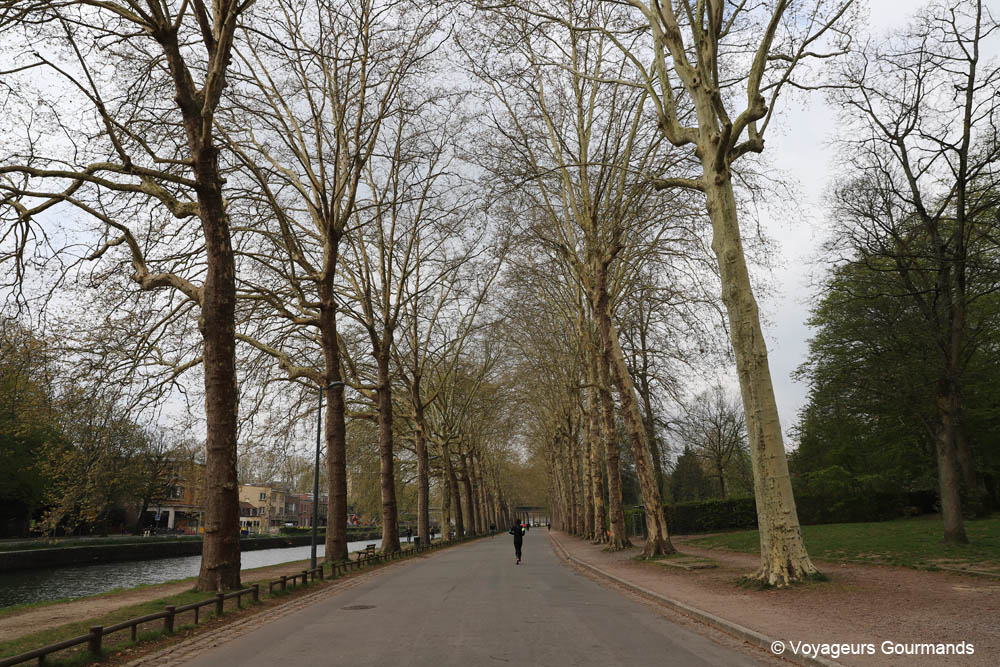 visiter lille