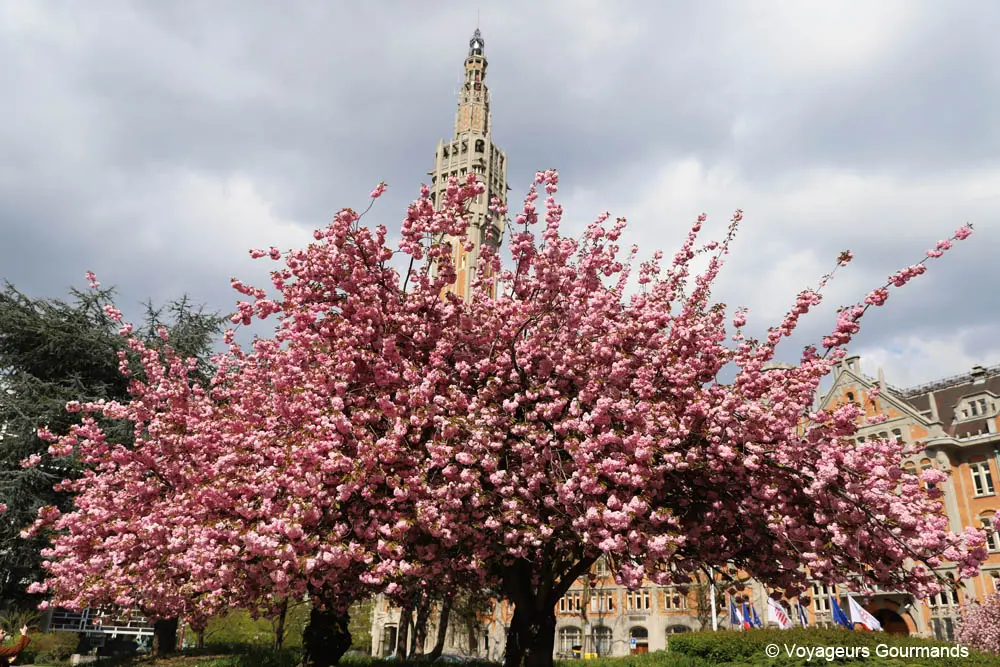 visiter lille 21