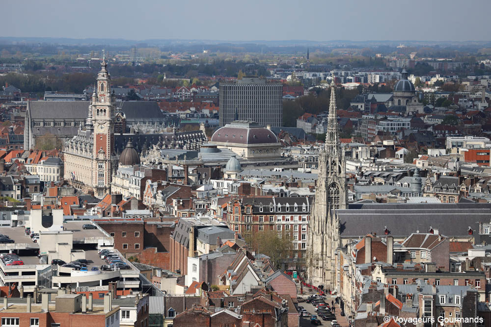 visiter lille
