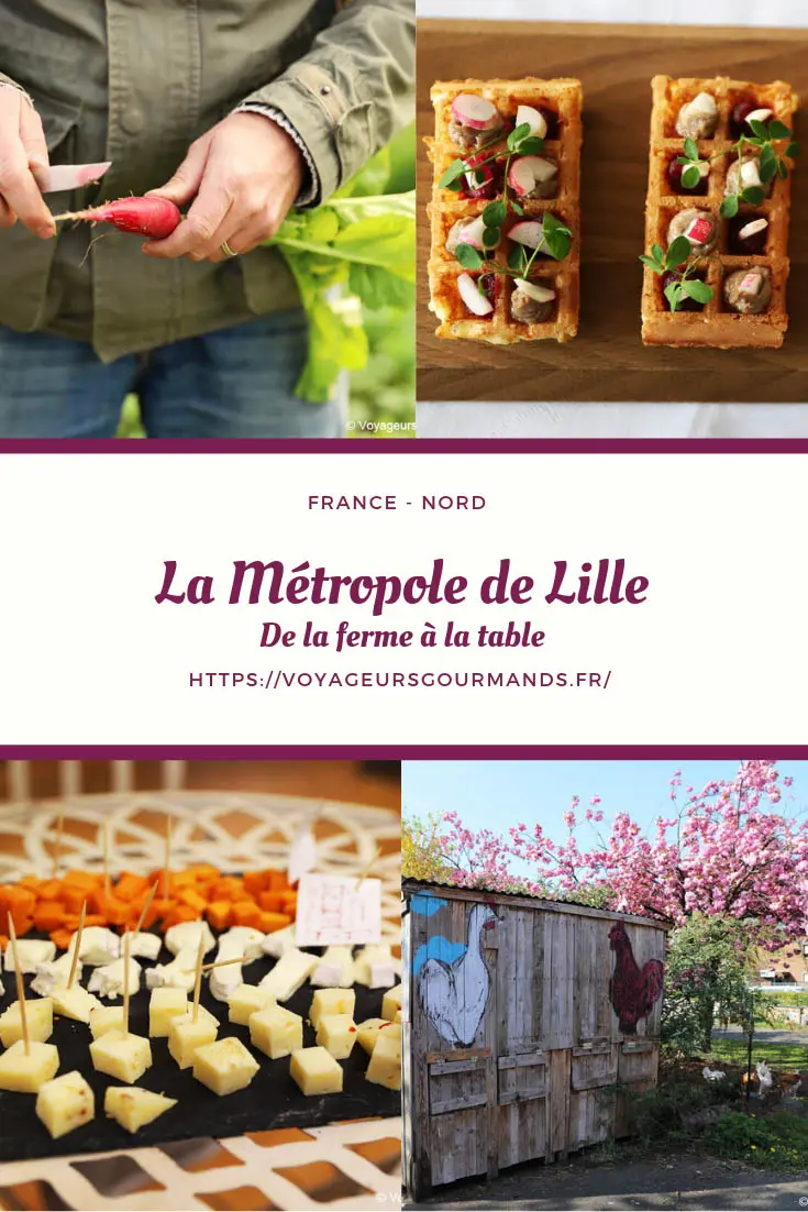 Metropole de Lille