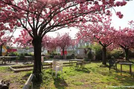 metropole de lille