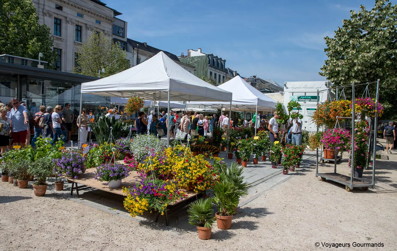 visiter gand 10