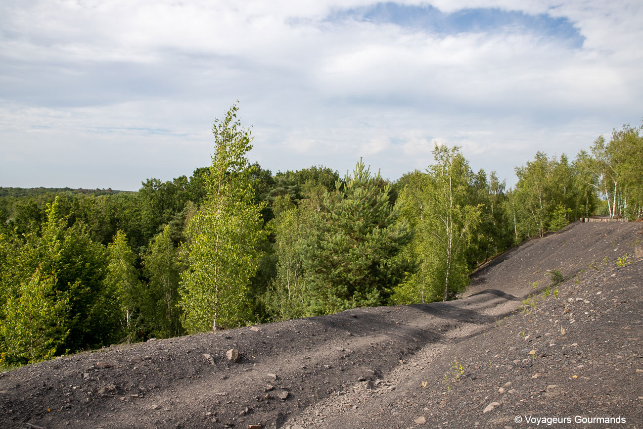 bassin minier du nord de la france