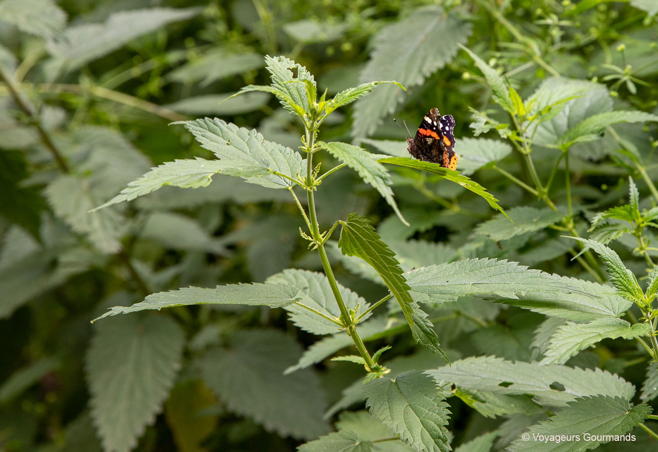 bassin minier du nord de la france