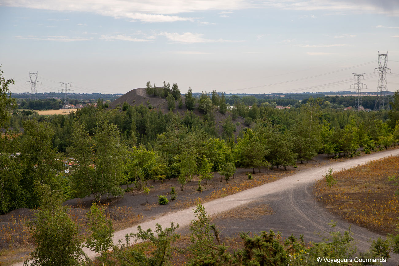 bassin minier du nord de la france