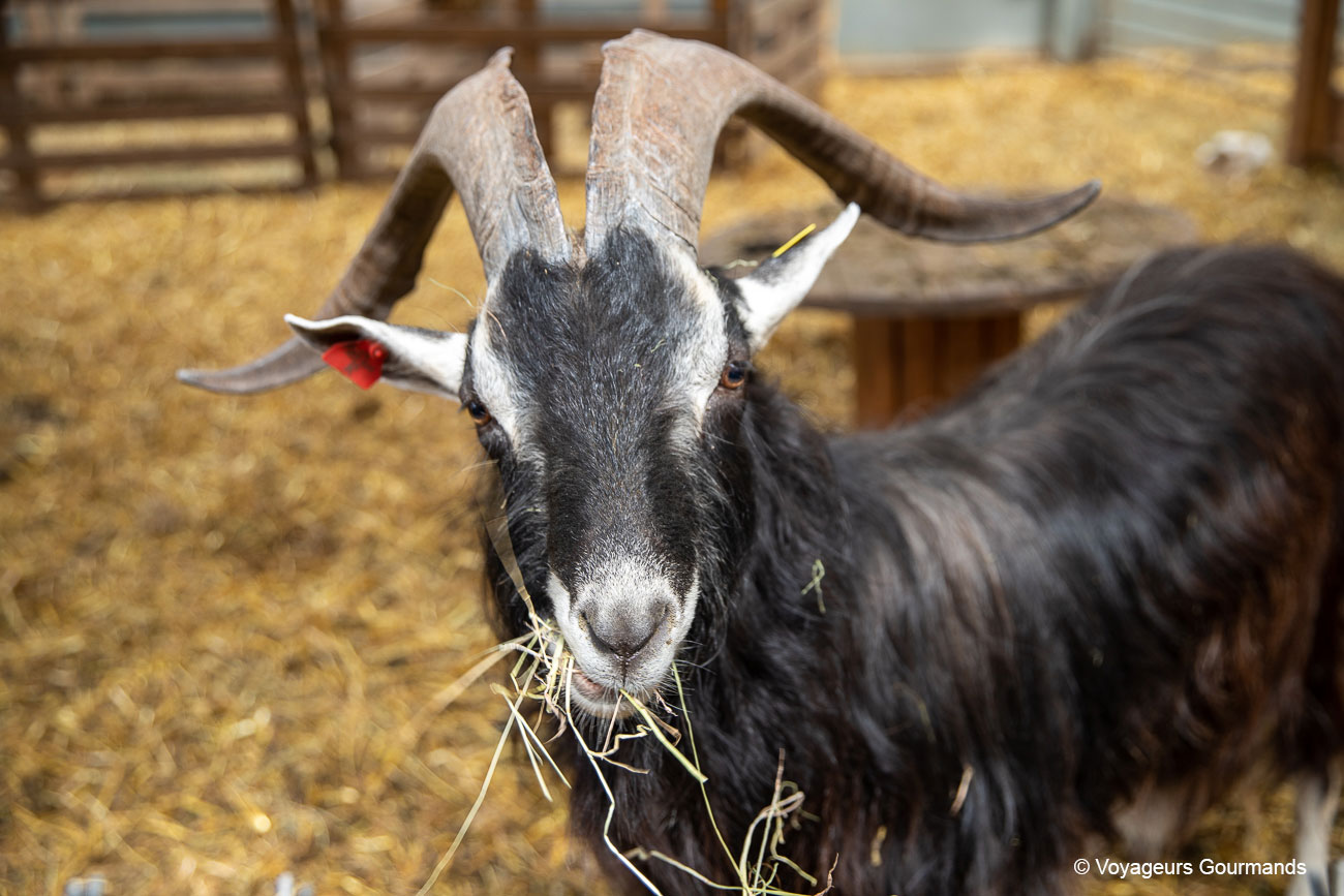 bassin minier du nord de la france