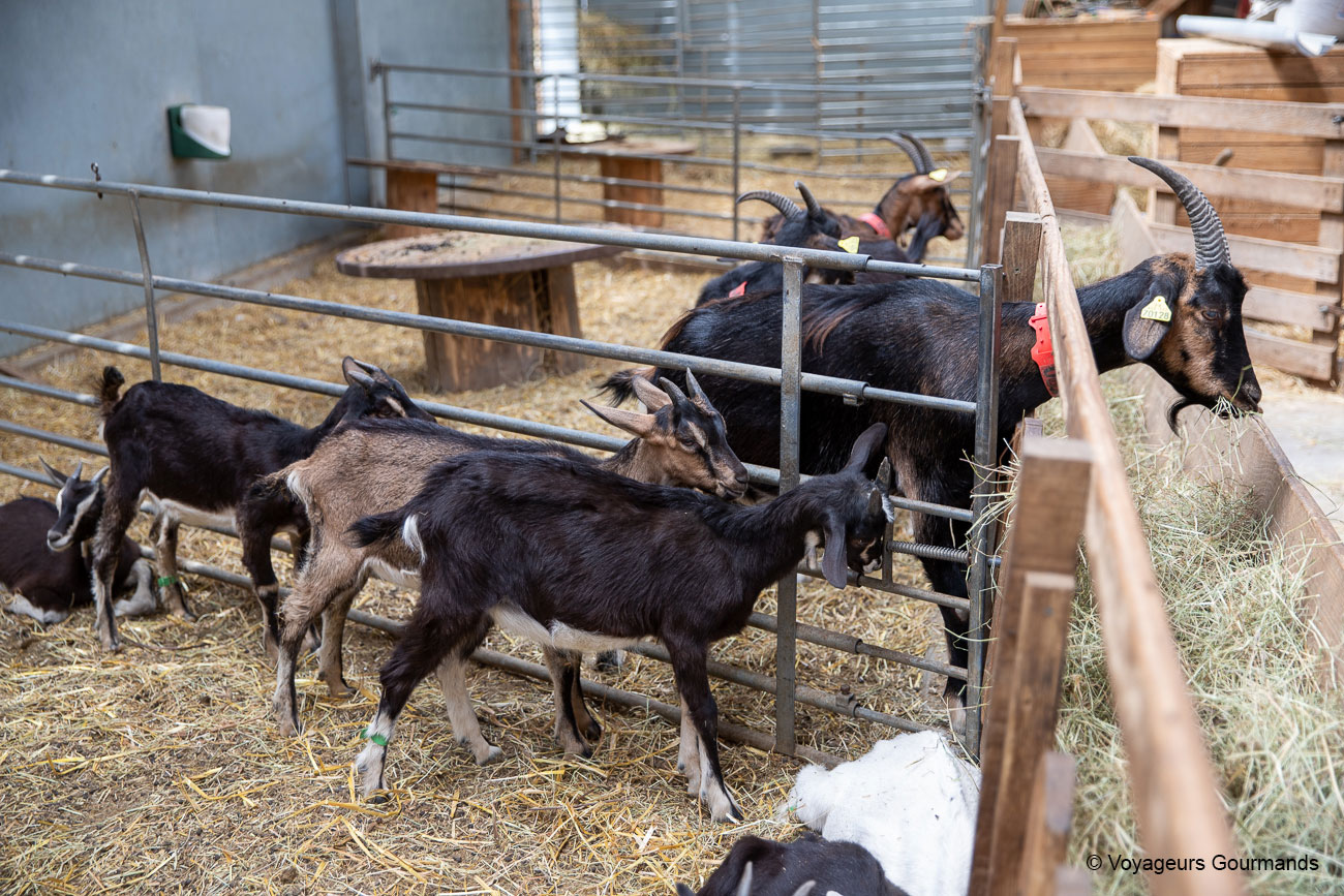bassin minier du nord de la france