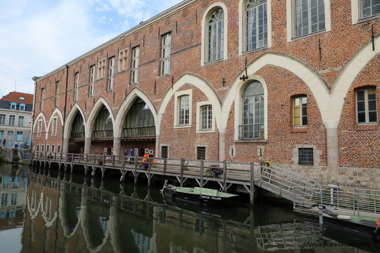 visiter douai fetes gayants 10