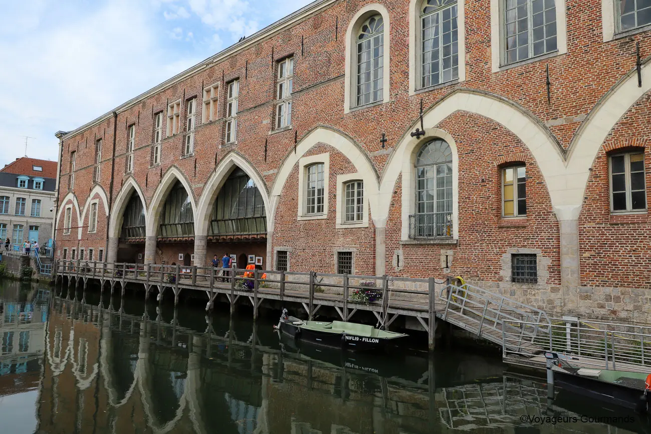 visiter douai fetes gayants 10
