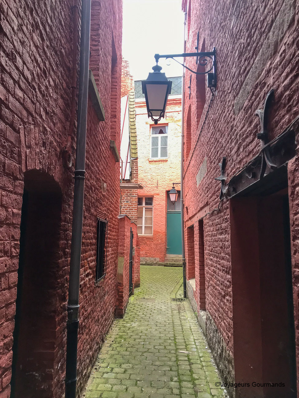 visiter douai - fetes gayants