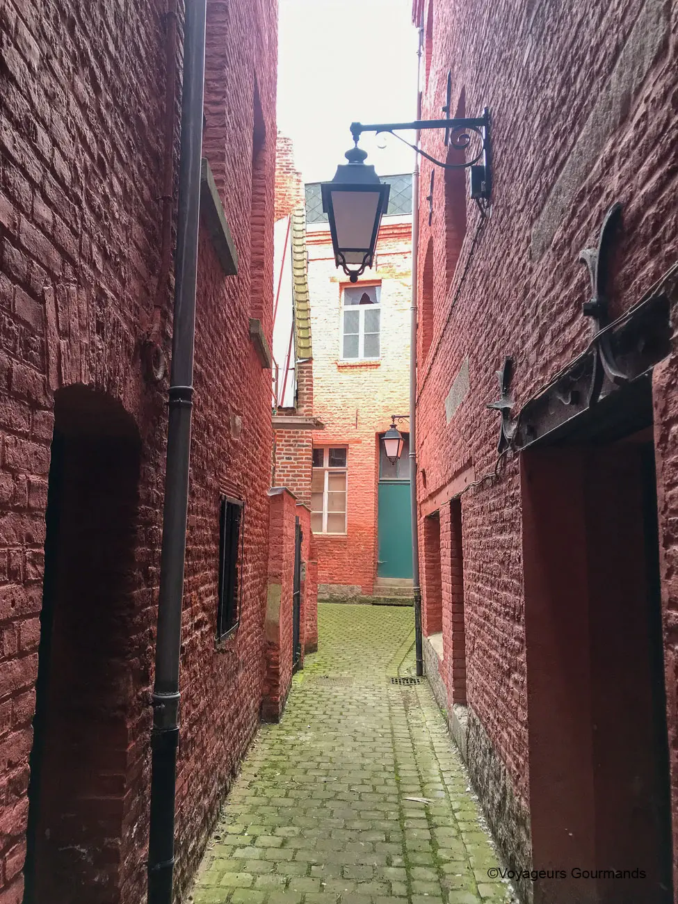 visiter douai fetes gayants 13