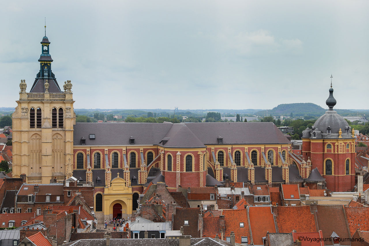 visiter douai - fetes gayants