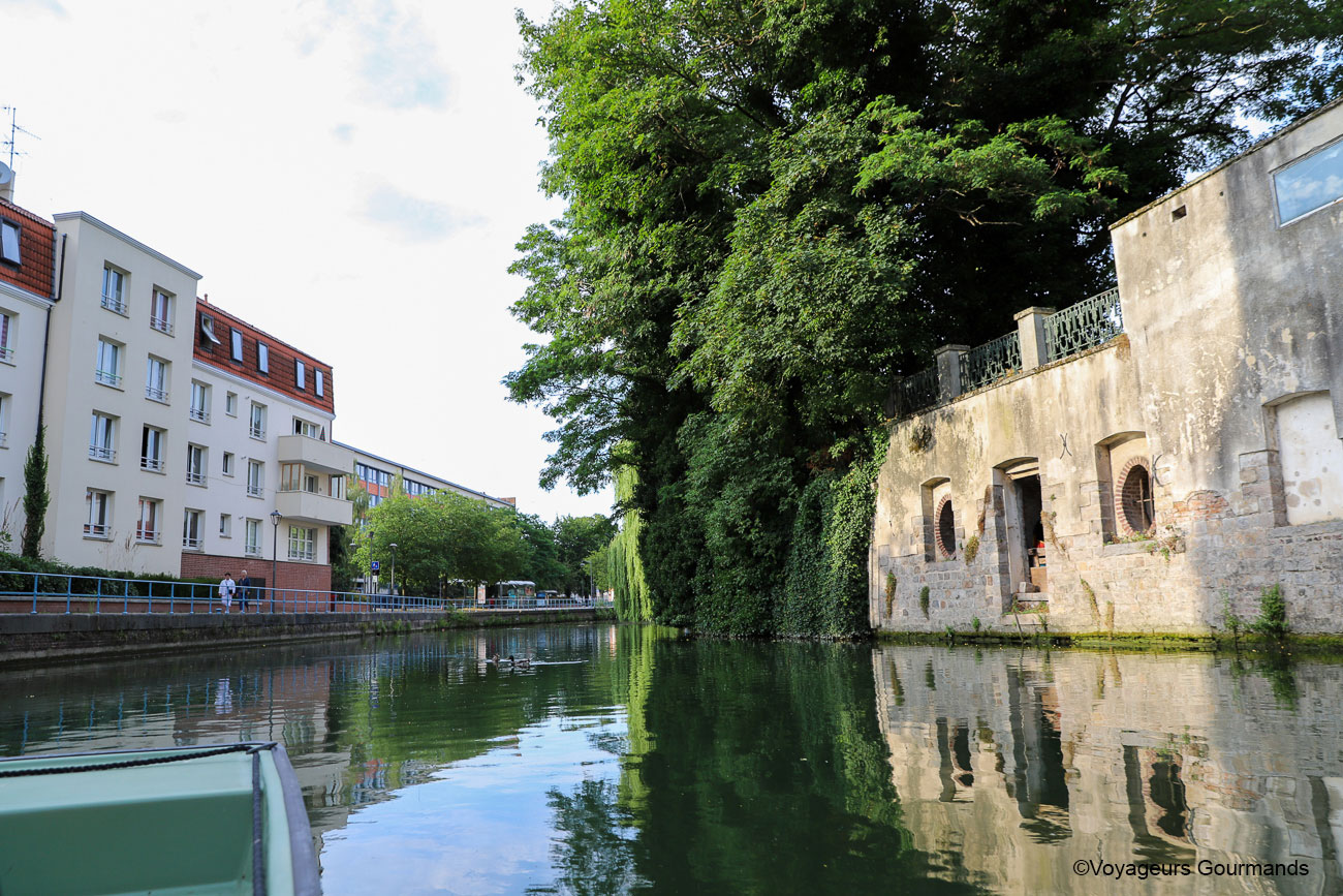 visiter douai - fetes gayants