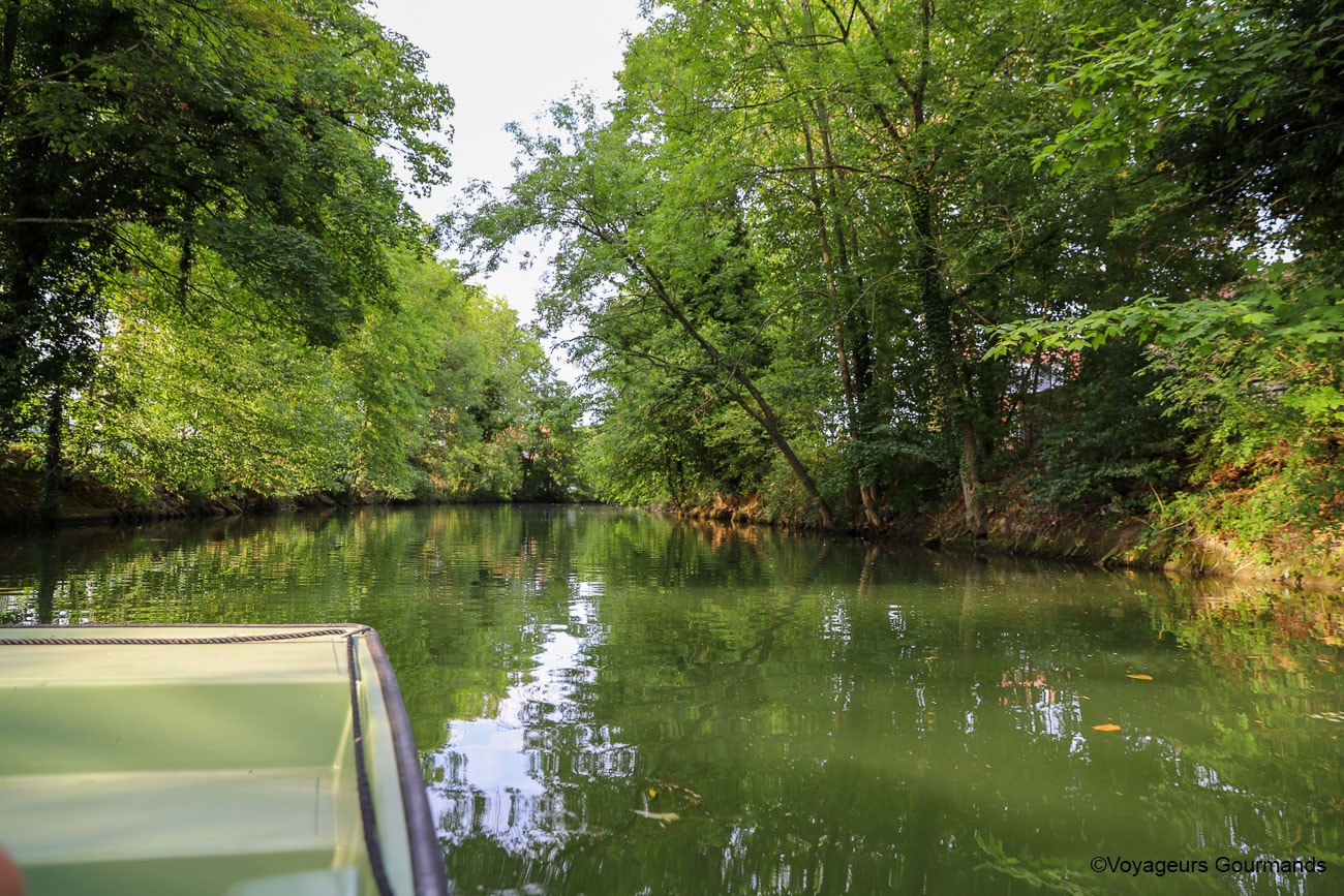 visiter douai - fetes gayants