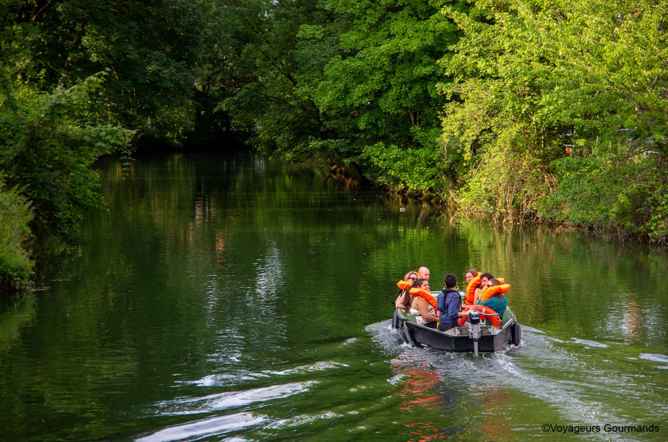 visiter douai - fetes gayants