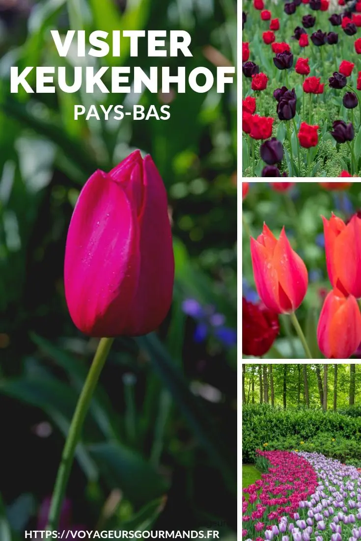 visiter keukenhof