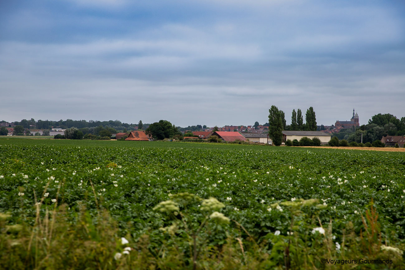 vallee de la Lys et les Monts de Flandre 40