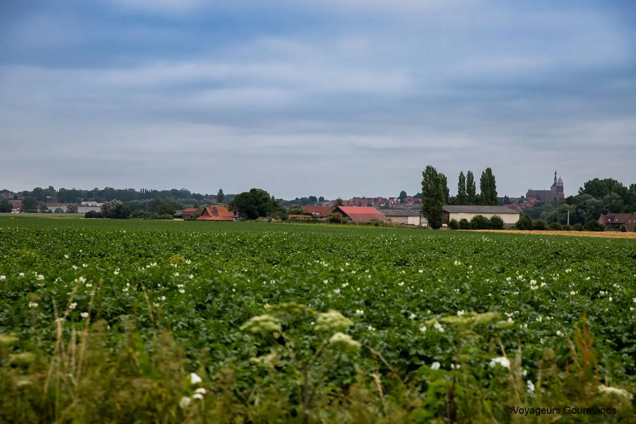 vallee de la Lys et les Monts de Flandre 40