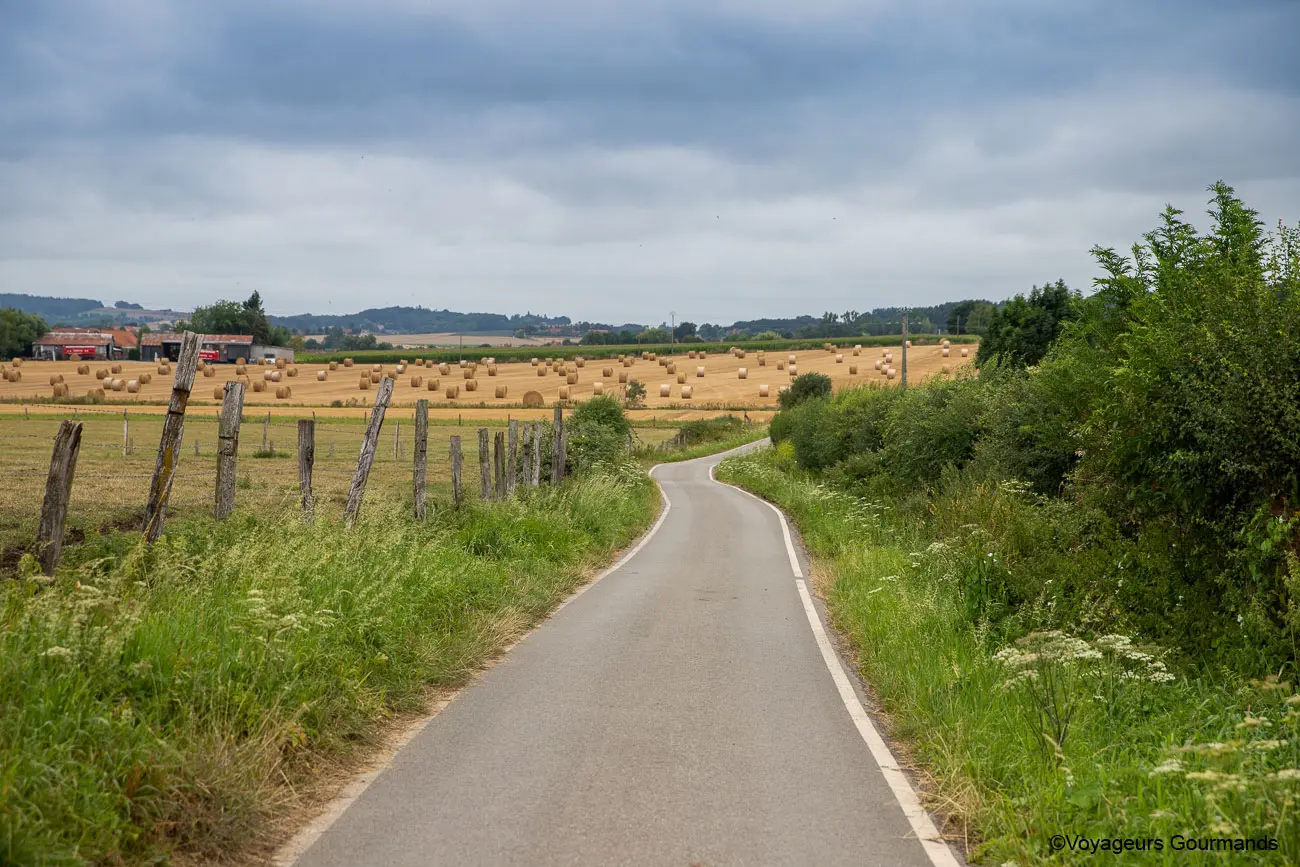 vallee de la Lys et les Monts de Flandre 41