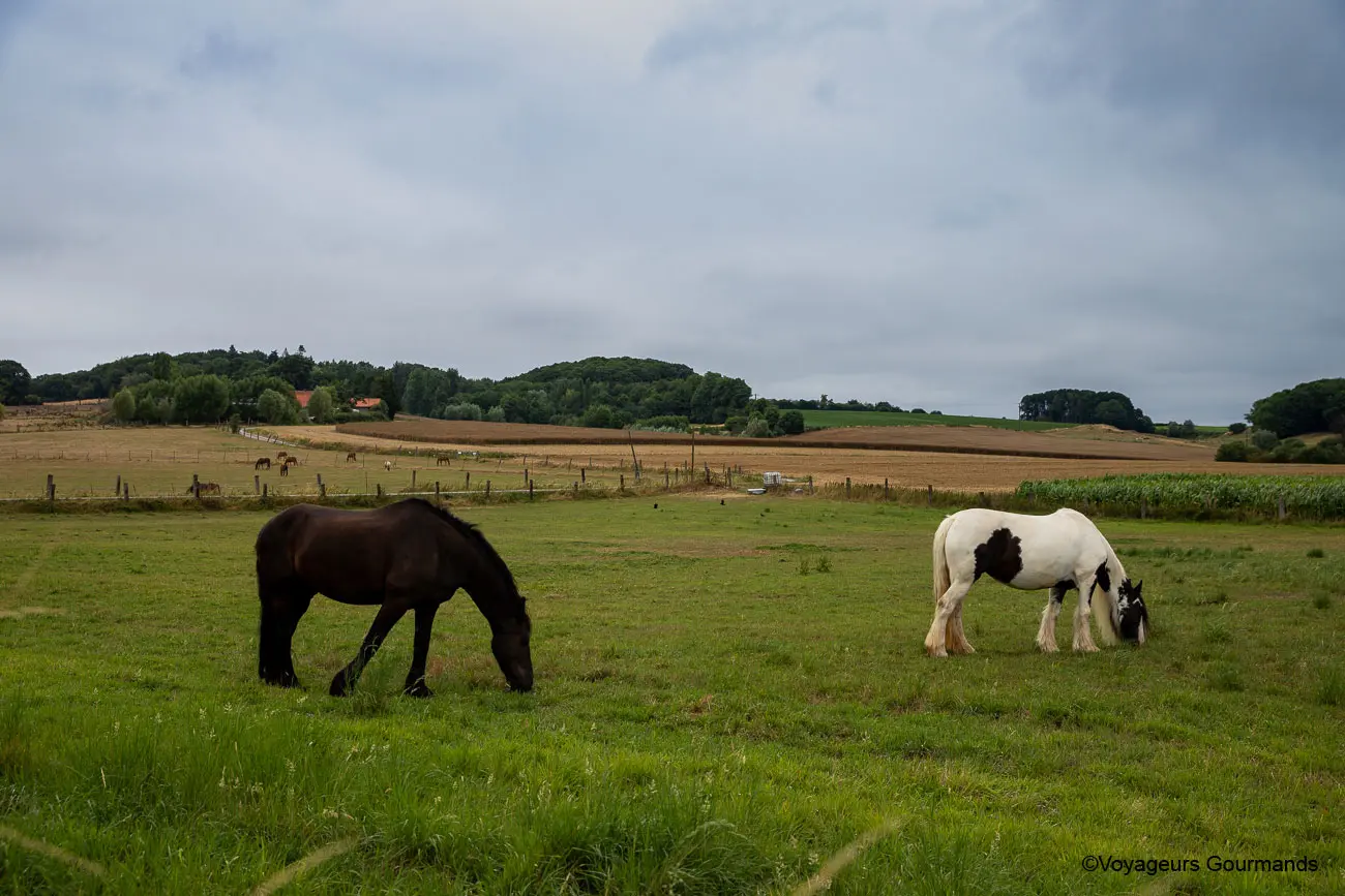 vallee de la Lys et les Monts de Flandre 6