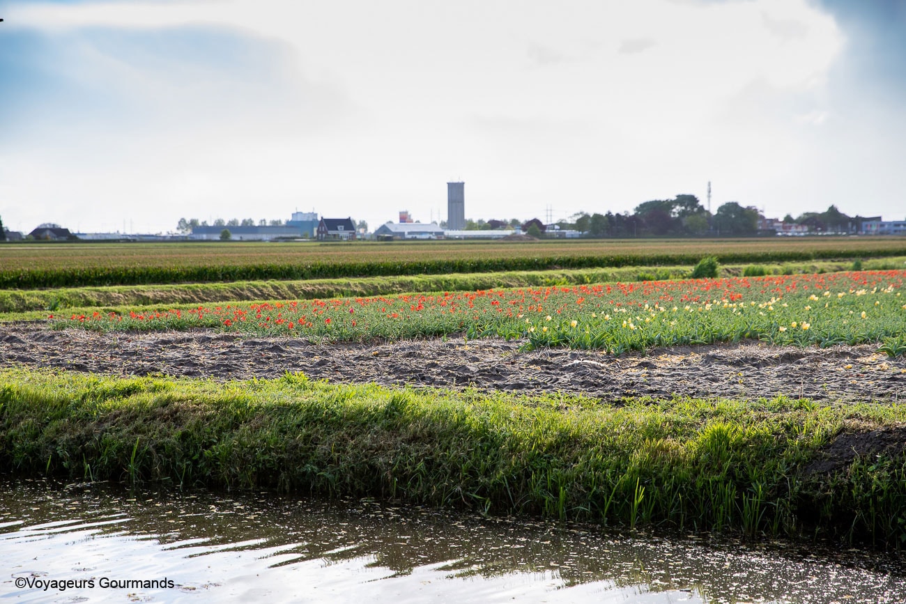 visiter keukenhof