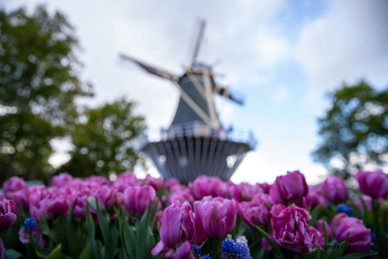 visiter keukenhof