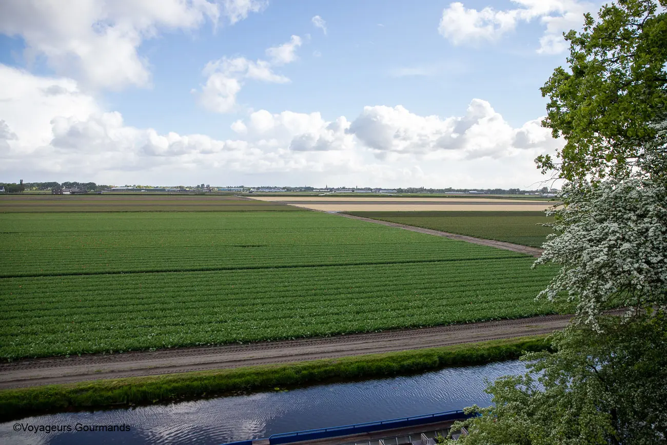 visiter keukenhof