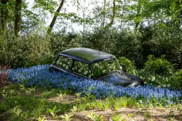 visiter keukenhof