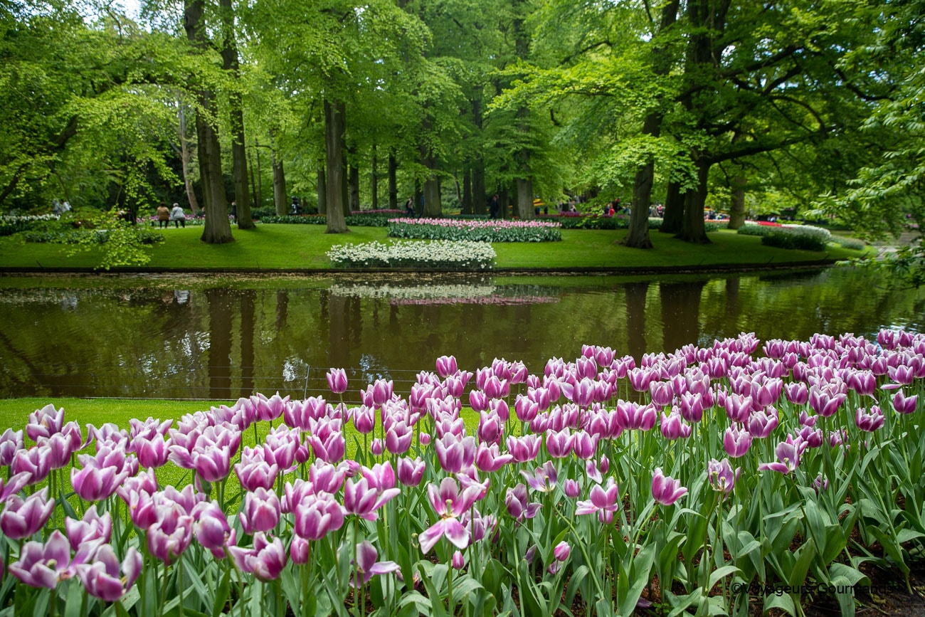 visiter keukenhof