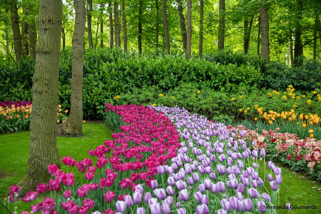 visiter keukenhof