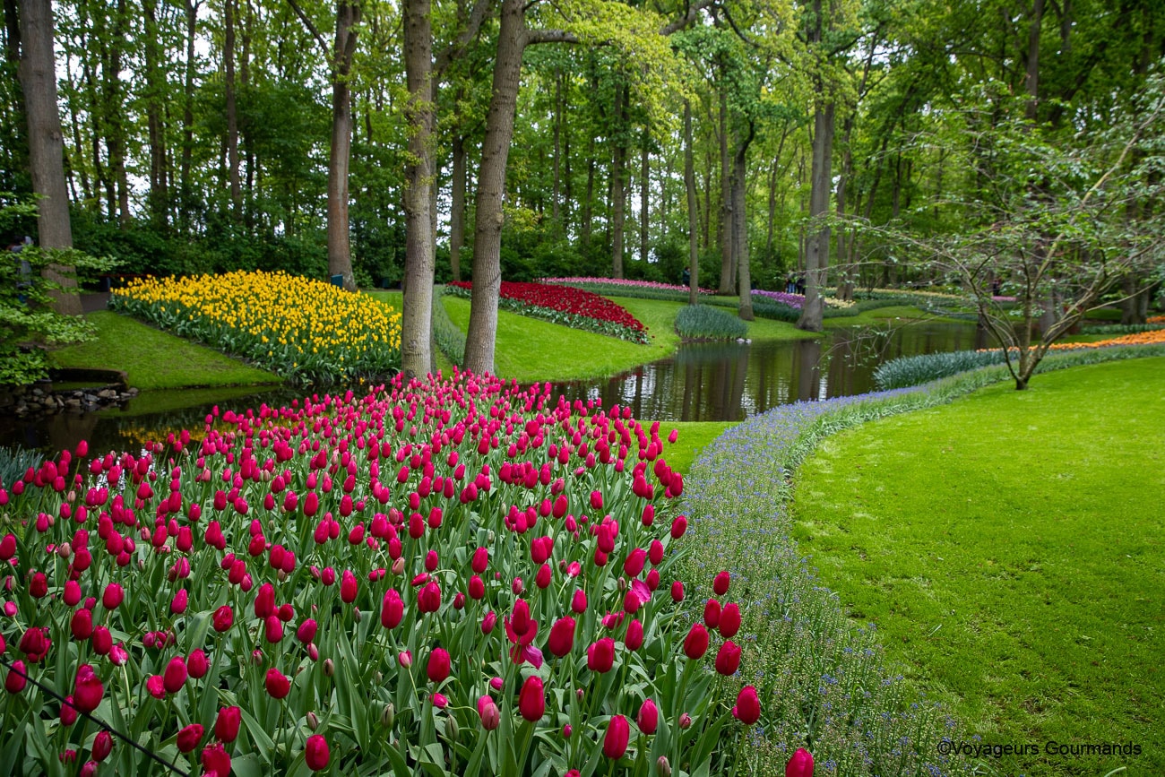 visiter keukenhof