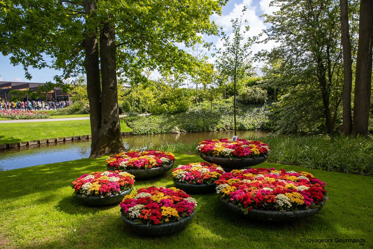 visiter keukenhof
