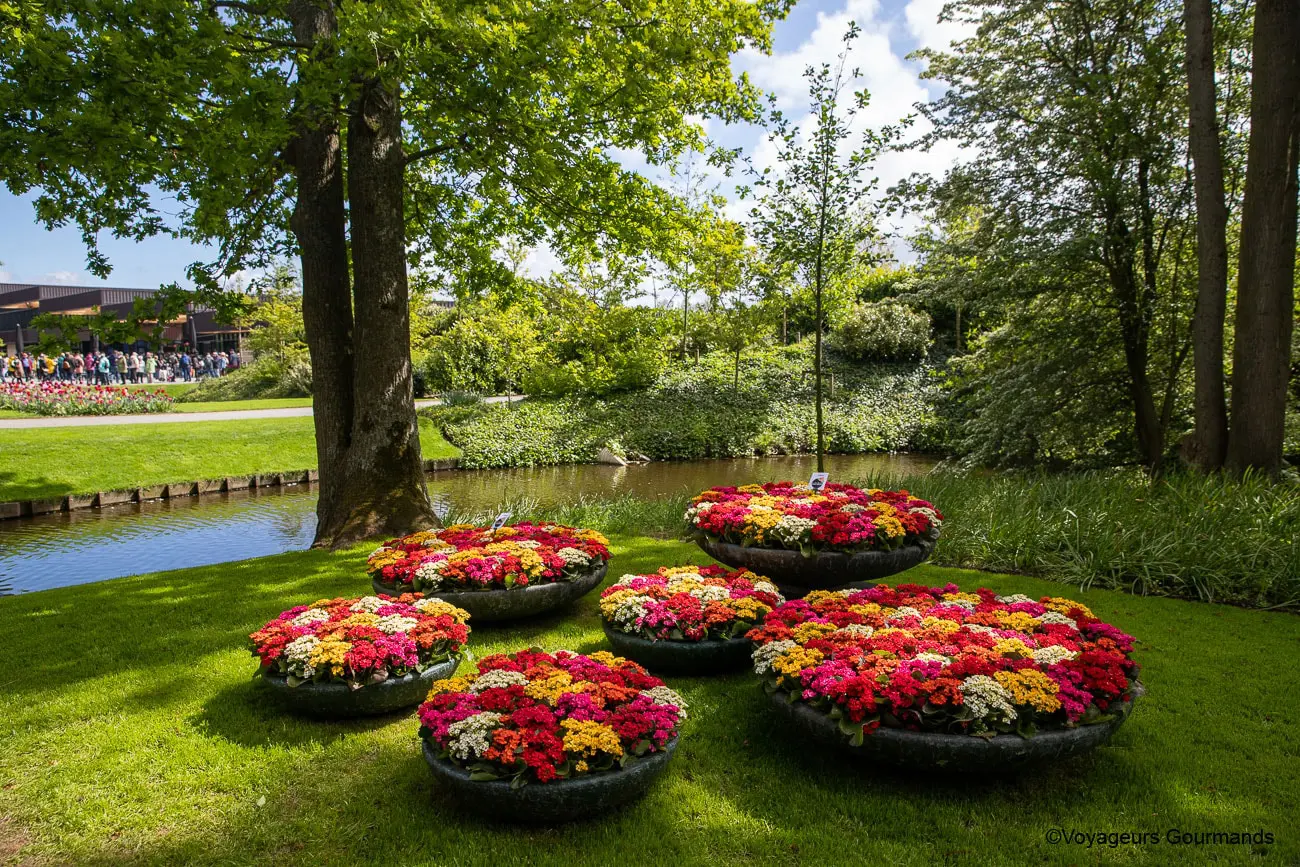 visiter keukenhof 46