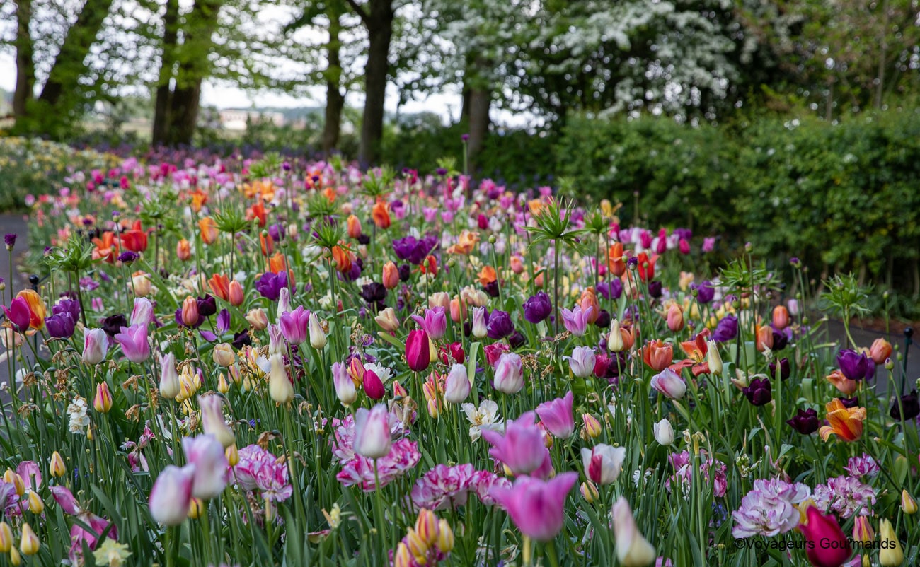 visiter keukenhof