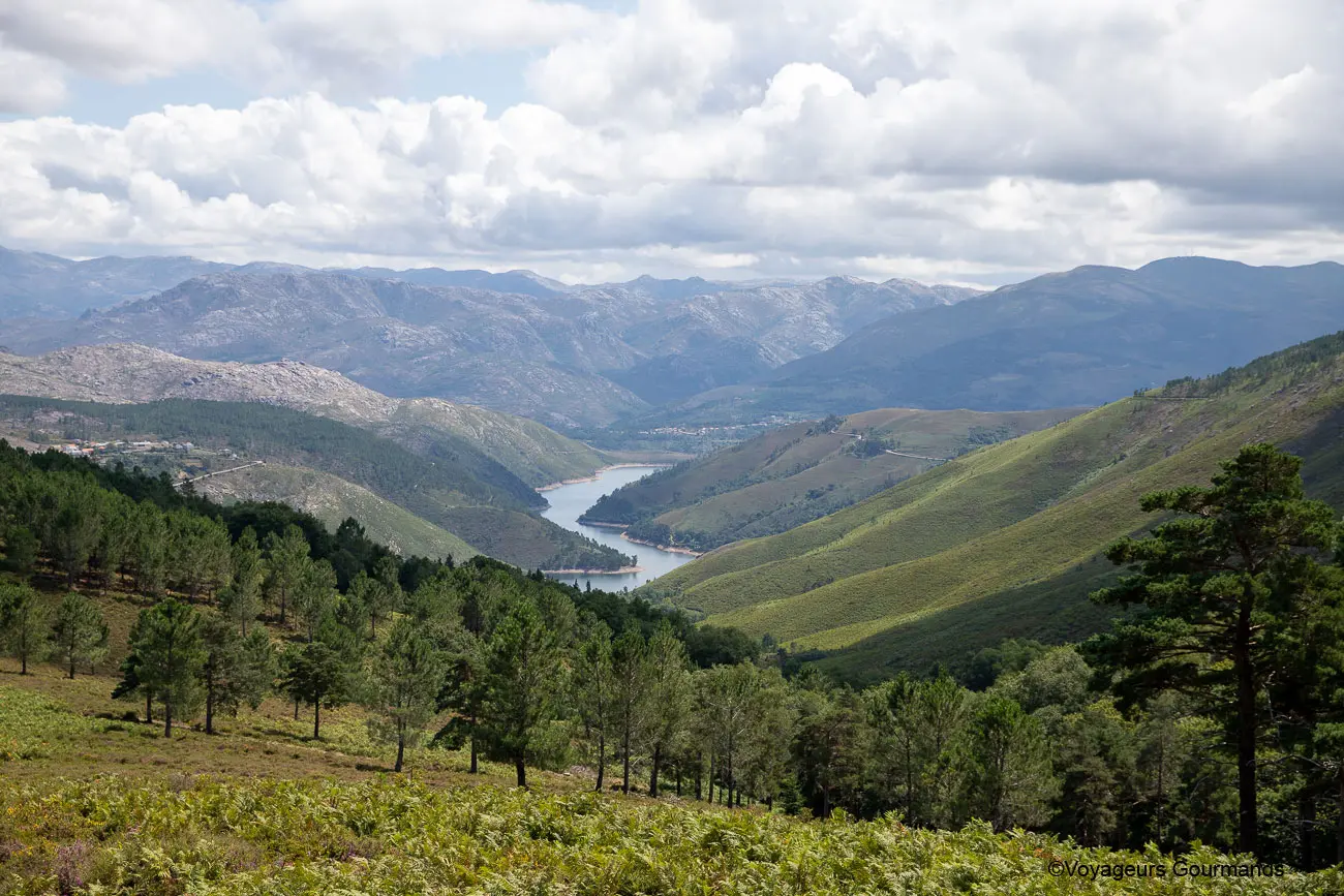 nord du portugal