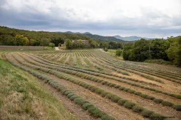 drome provençale