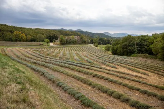 drome provençale