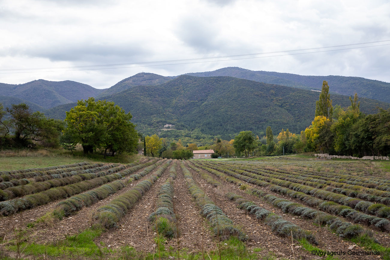 drome provençale