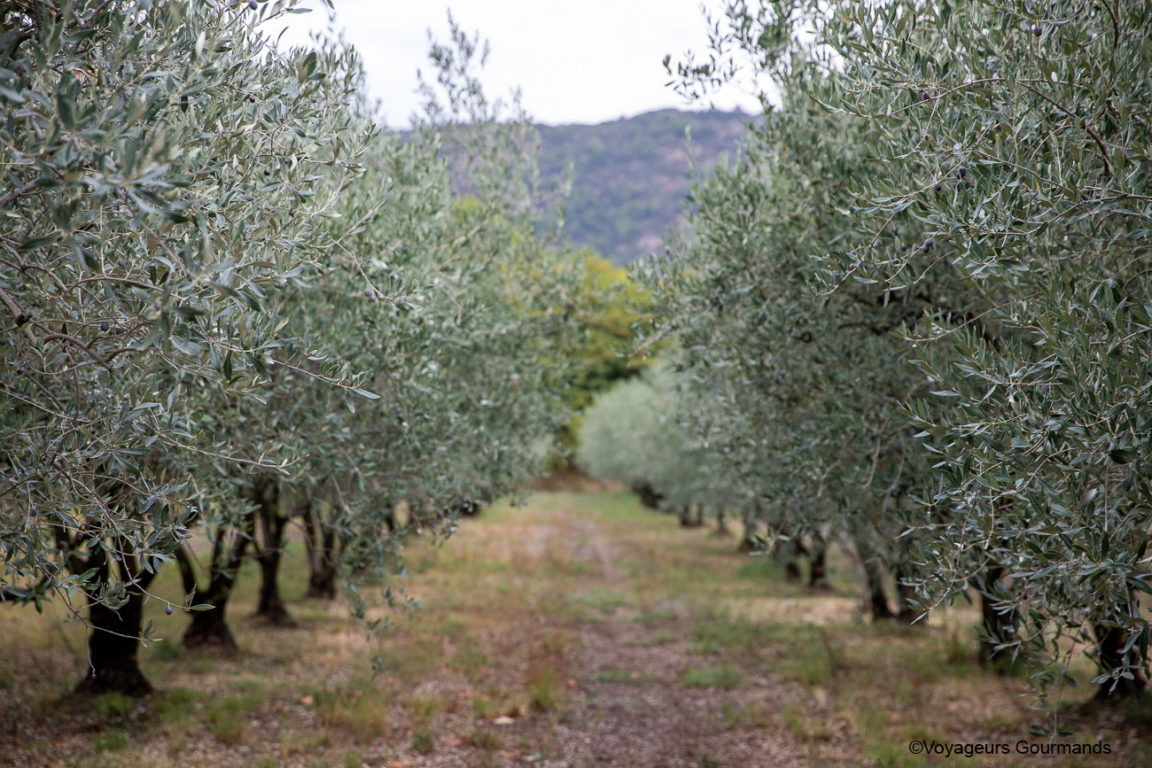 drome provençale