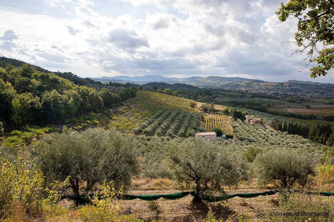 drome provençale