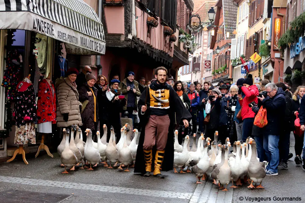 marches de noel en alsace 1 1