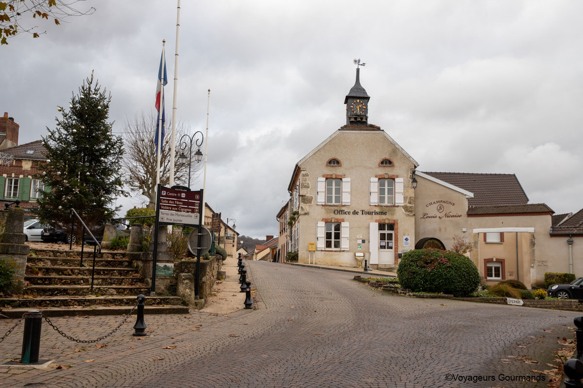 visiter reims et ses alentours