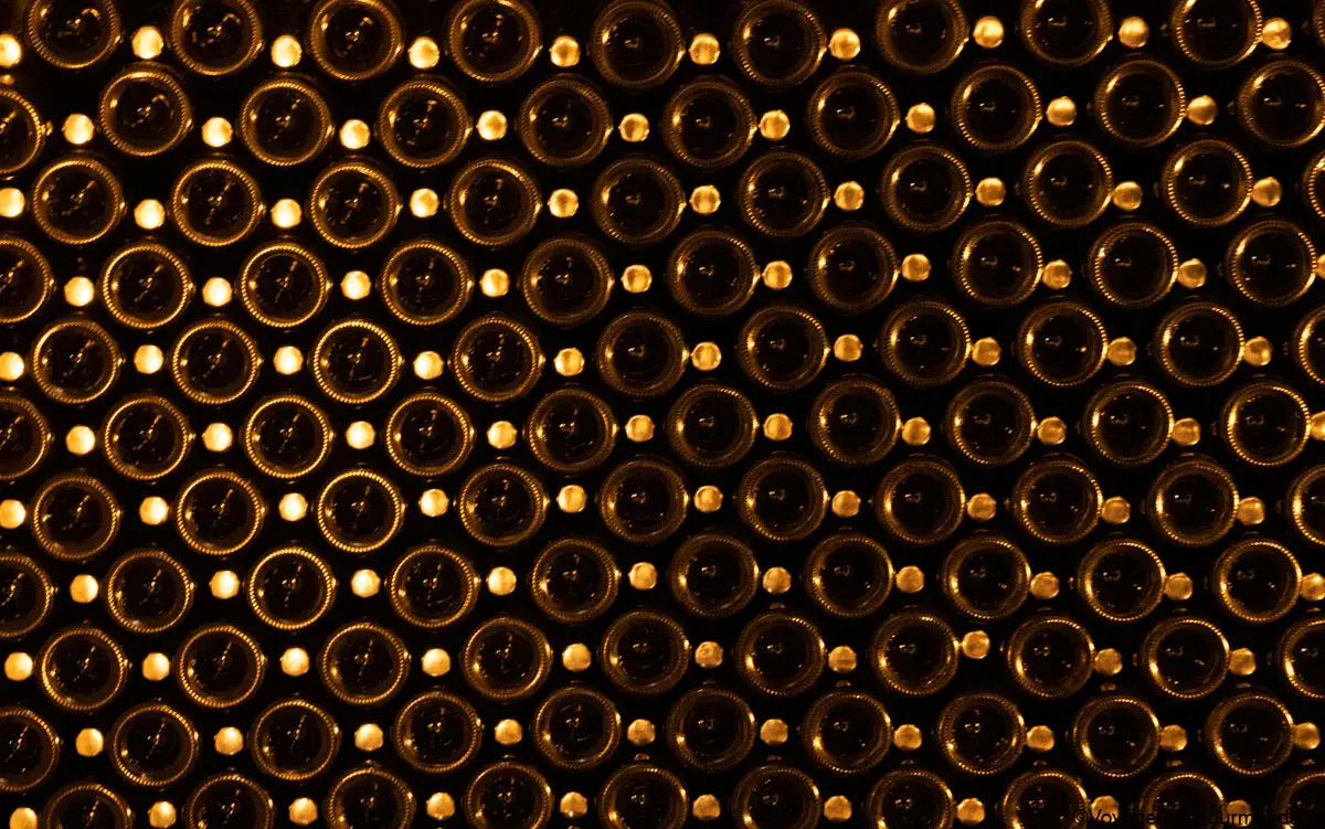 visiter epernay 10