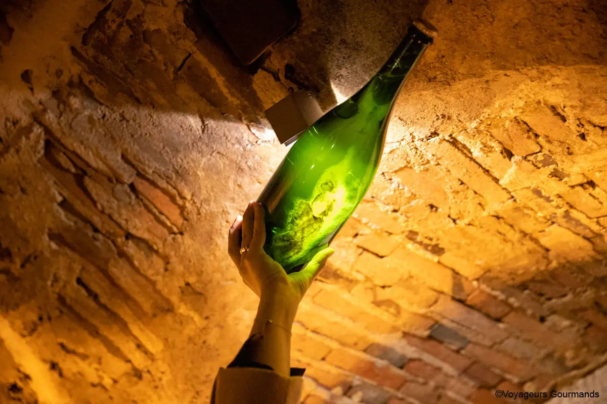 visiter epernay 11