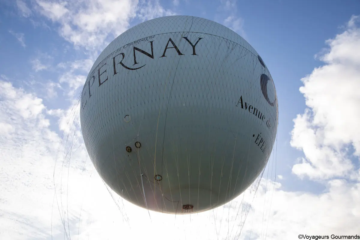 visiter epernay 5