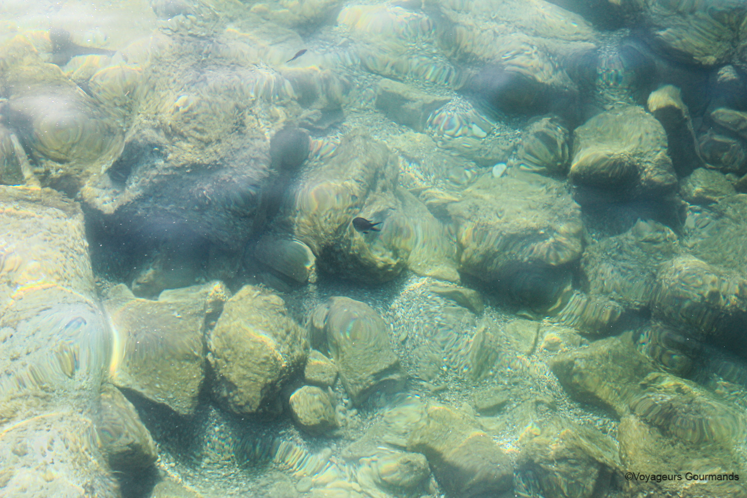 visiter budva montenegro 2